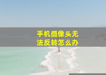 手机摄像头无法反转怎么办