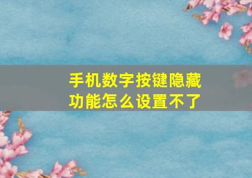 手机数字按键隐藏功能怎么设置不了