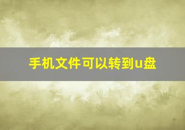 手机文件可以转到u盘