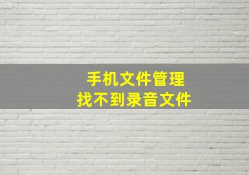 手机文件管理找不到录音文件