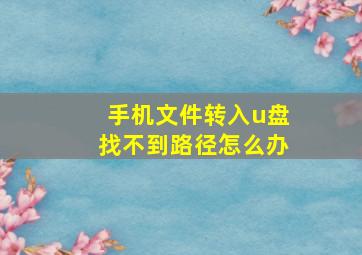 手机文件转入u盘找不到路径怎么办