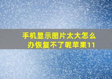 手机显示图片太大怎么办恢复不了呢苹果11