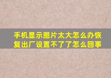 手机显示图片太大怎么办恢复出厂设置不了了怎么回事