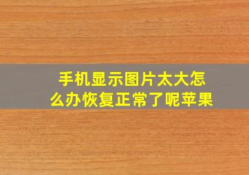 手机显示图片太大怎么办恢复正常了呢苹果