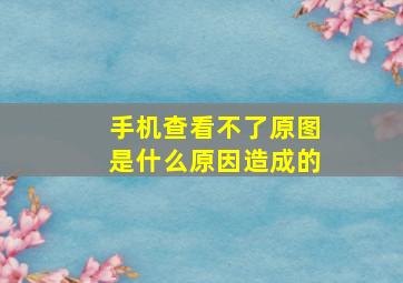 手机查看不了原图是什么原因造成的