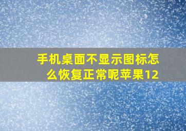 手机桌面不显示图标怎么恢复正常呢苹果12