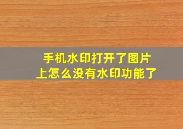 手机水印打开了图片上怎么没有水印功能了