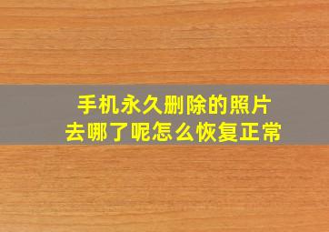 手机永久删除的照片去哪了呢怎么恢复正常