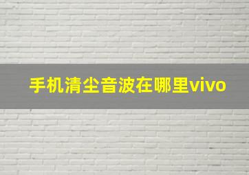 手机清尘音波在哪里vivo