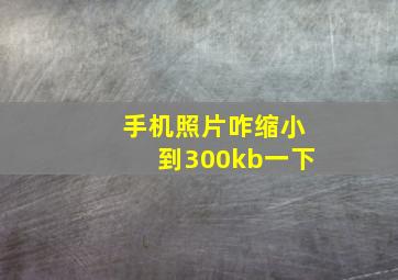 手机照片咋缩小到300kb一下