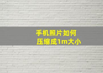 手机照片如何压缩成1m大小