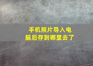 手机照片导入电脑后存到哪里去了