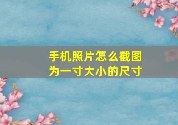 手机照片怎么截图为一寸大小的尺寸