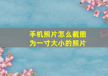 手机照片怎么截图为一寸大小的照片