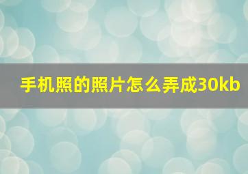 手机照的照片怎么弄成30kb