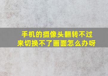 手机的摄像头翻转不过来切换不了画面怎么办呀