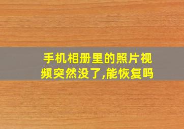 手机相册里的照片视频突然没了,能恢复吗