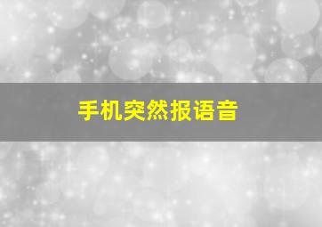 手机突然报语音