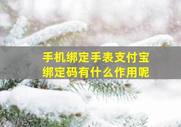 手机绑定手表支付宝绑定码有什么作用呢