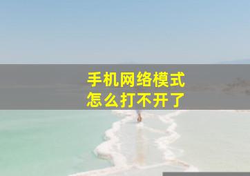 手机网络模式怎么打不开了