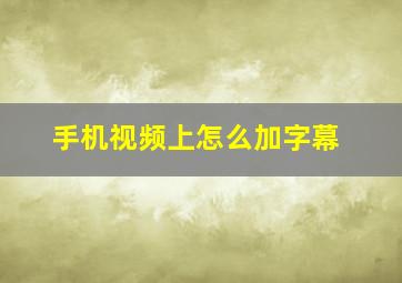 手机视频上怎么加字幕