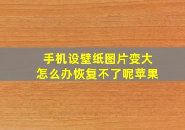 手机设壁纸图片变大怎么办恢复不了呢苹果