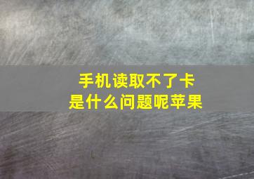 手机读取不了卡是什么问题呢苹果