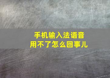 手机输入法语音用不了怎么回事儿