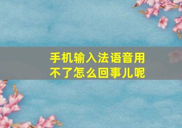 手机输入法语音用不了怎么回事儿呢