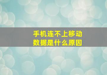 手机连不上移动数据是什么原因