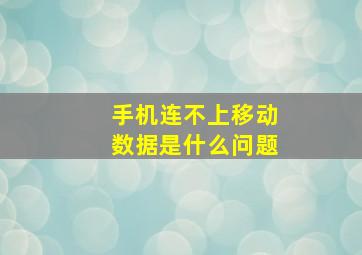 手机连不上移动数据是什么问题