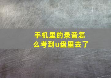 手机里的录音怎么考到u盘里去了