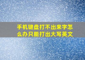 手机键盘打不出来字怎么办只能打出大写英文