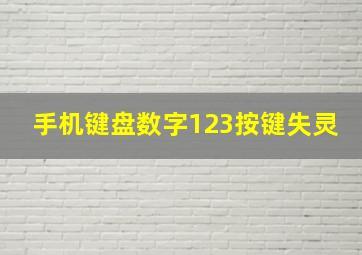 手机键盘数字123按键失灵