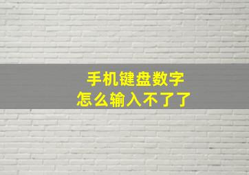 手机键盘数字怎么输入不了了