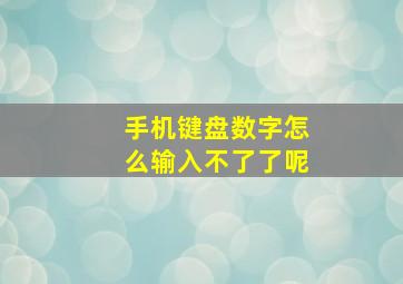 手机键盘数字怎么输入不了了呢