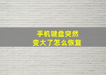 手机键盘突然变大了怎么恢复