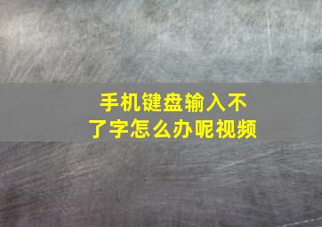 手机键盘输入不了字怎么办呢视频