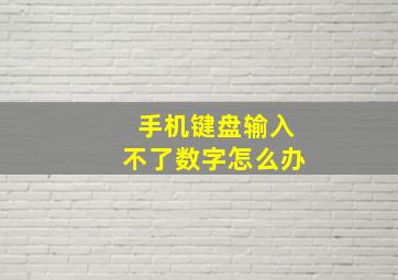 手机键盘输入不了数字怎么办