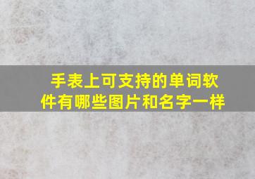 手表上可支持的单词软件有哪些图片和名字一样