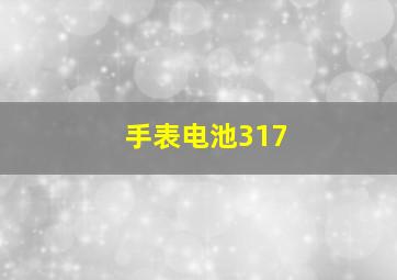 手表电池317