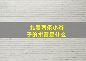 扎着两条小辫子的拼音是什么