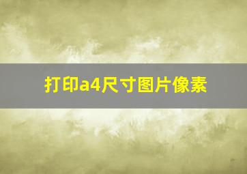 打印a4尺寸图片像素