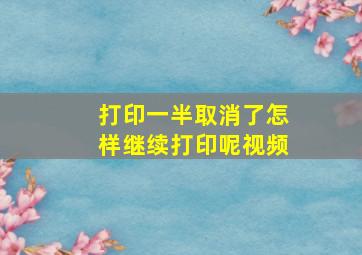 打印一半取消了怎样继续打印呢视频