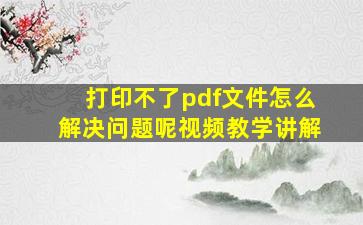 打印不了pdf文件怎么解决问题呢视频教学讲解