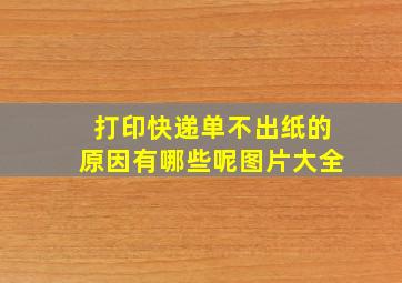 打印快递单不出纸的原因有哪些呢图片大全