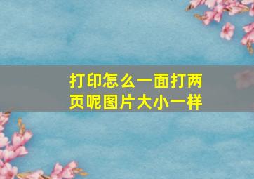 打印怎么一面打两页呢图片大小一样