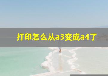 打印怎么从a3变成a4了