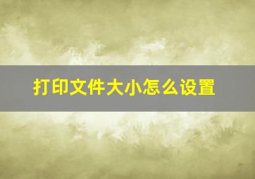 打印文件大小怎么设置