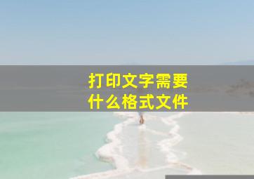 打印文字需要什么格式文件